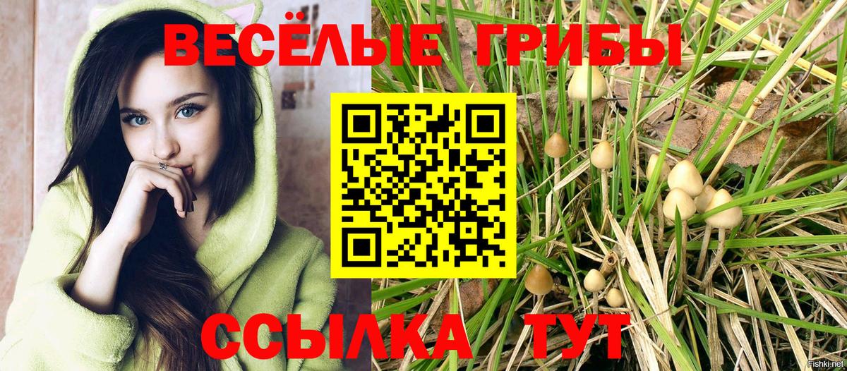 Псилоцибиновые грибы Cubensis Чехов