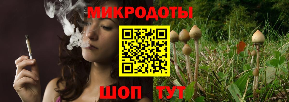 Псилоцибиновые грибы Cubensis  Вход с VPN  Чехов 