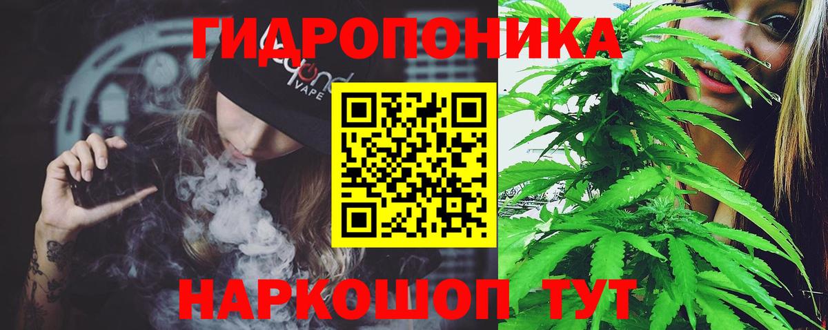 Канабис гибрид  Каннабис индика  Вход с VPN  Чехов  Конопля тримм 